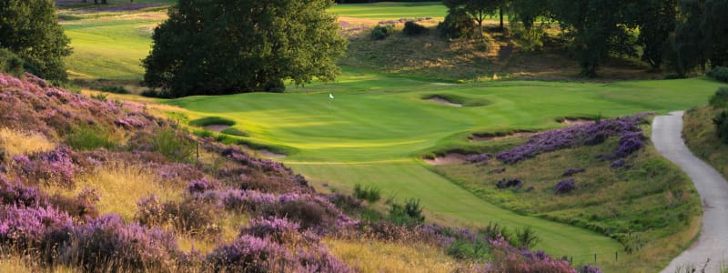 2021 Open Championship Regional Final Qualifying Venues 19th Hole [ 300 x 800 Pixel ]